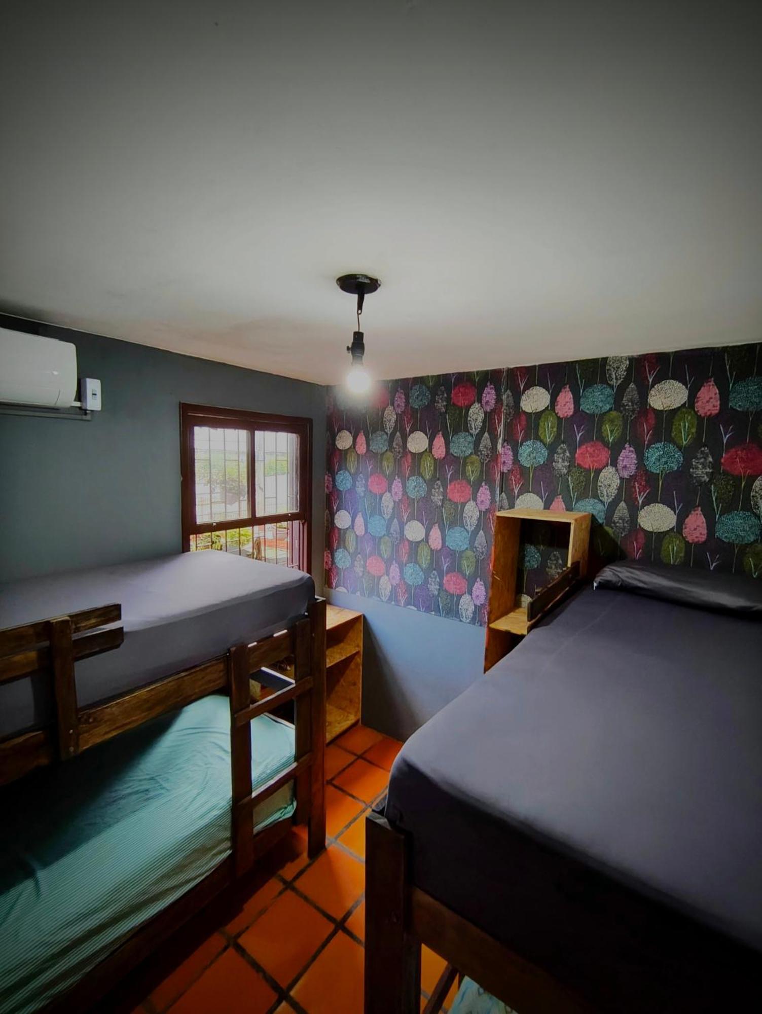 Katsbarnea Hostel - Florianopolis — Fotos 3