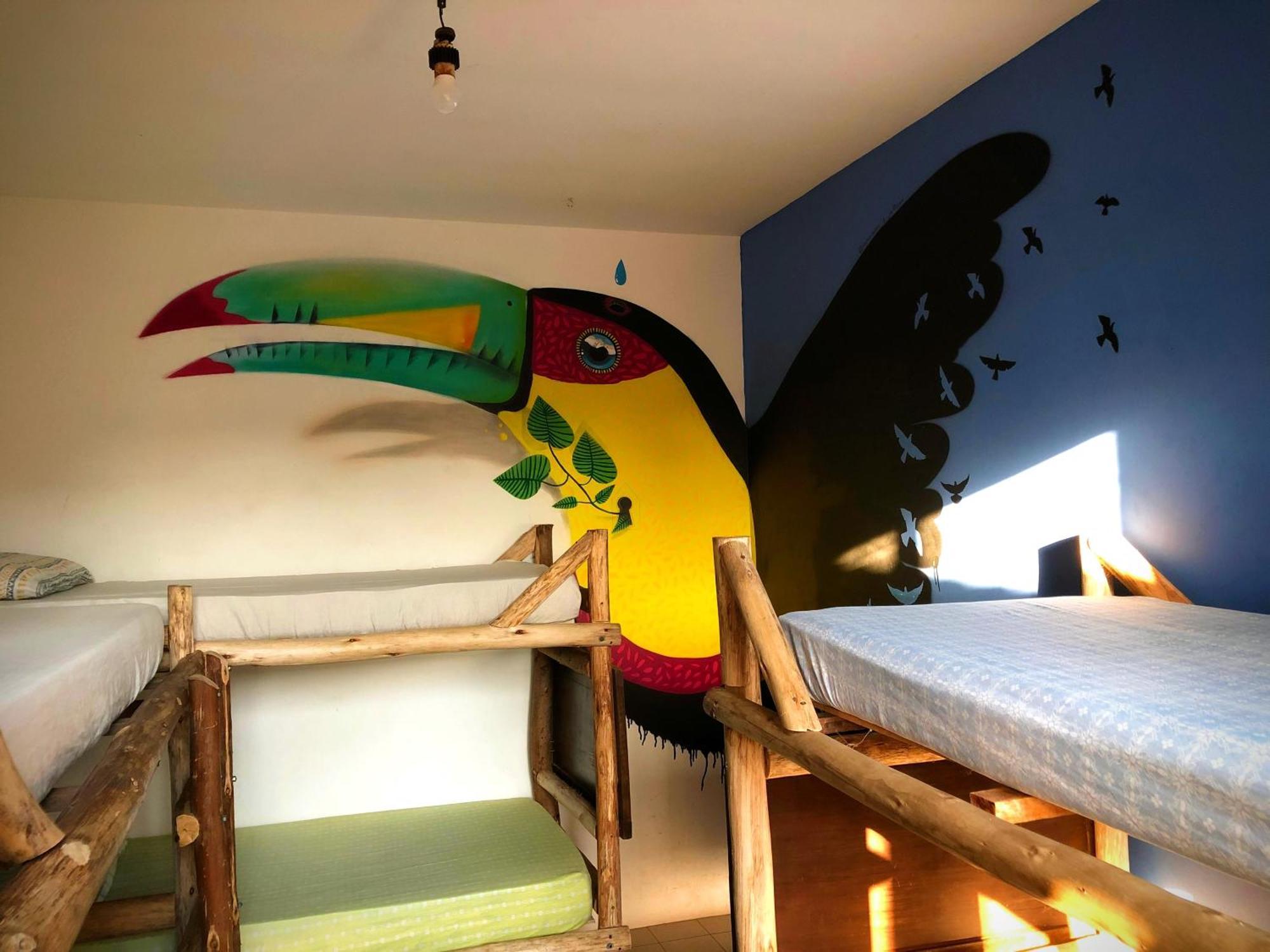 Katsbarnea Hostel - Florianopolis — Fotos 1